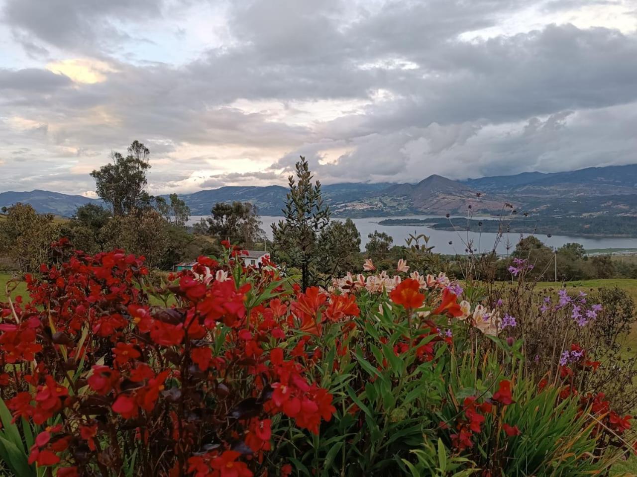 Glamping hermoso amanecer Guatavita Exterior foto