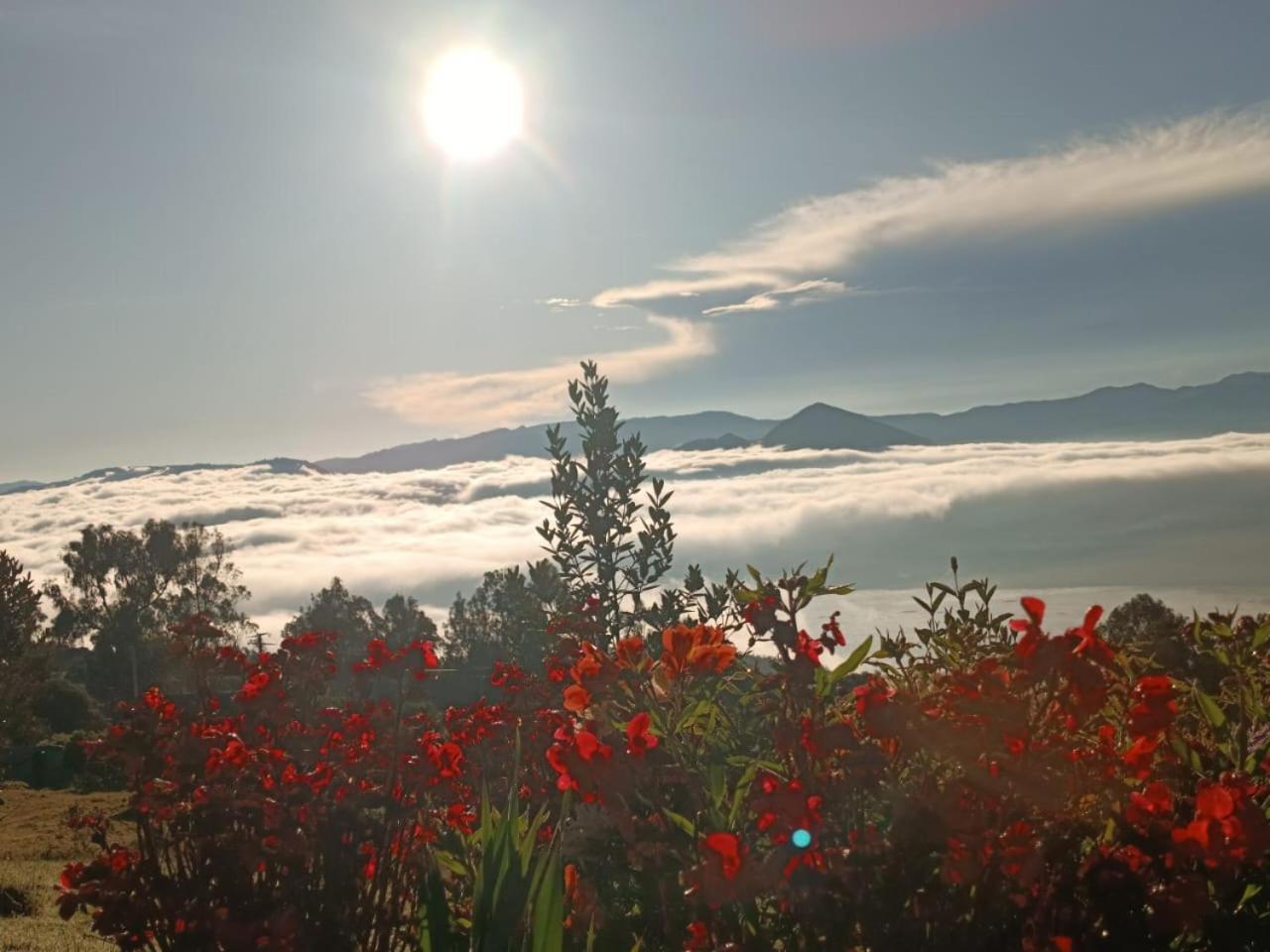 Glamping hermoso amanecer Guatavita Exterior foto