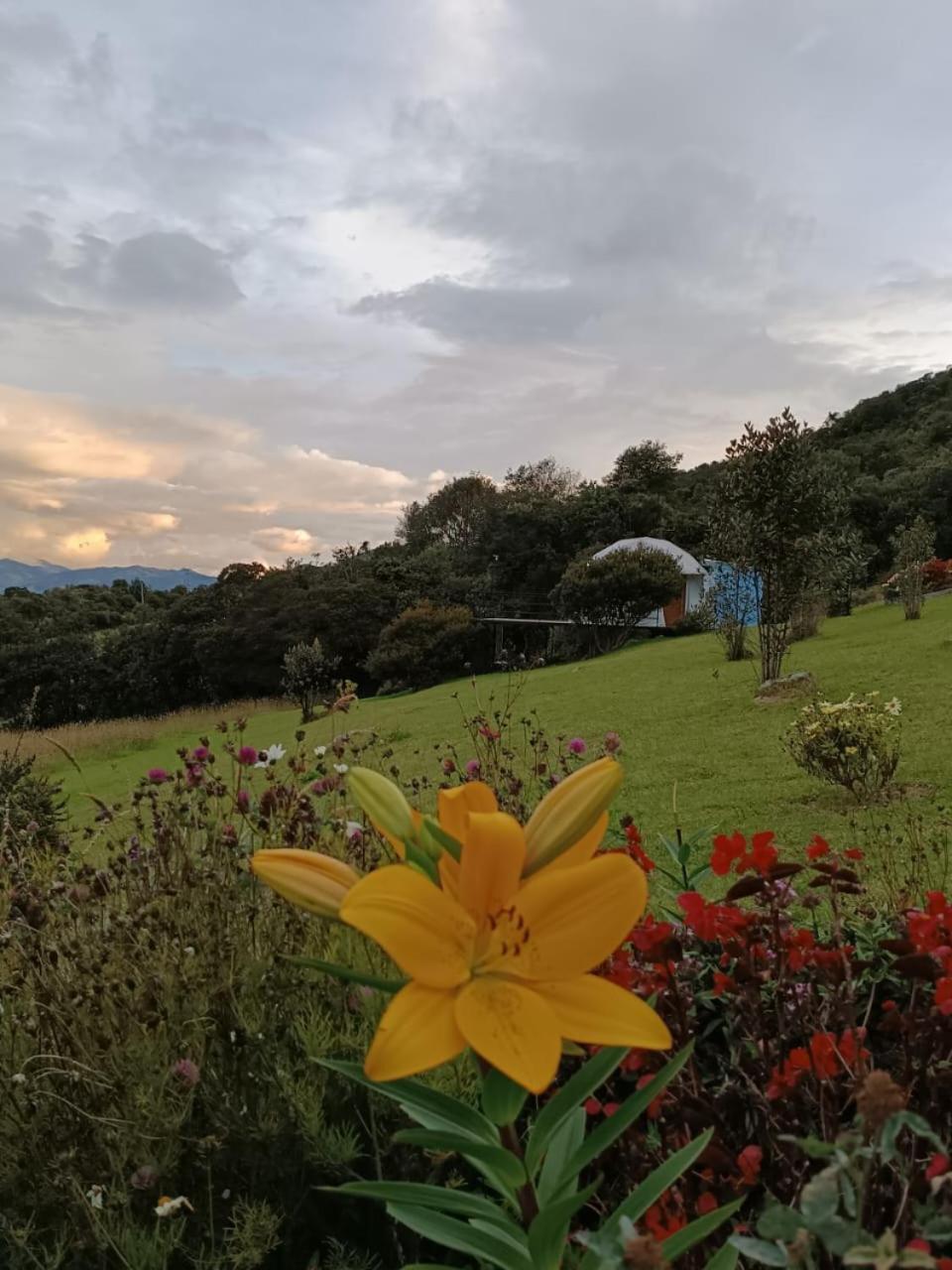Glamping hermoso amanecer Guatavita Exterior foto